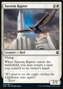 Tazeem Raptor